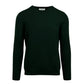 Front Men's crew neck sweater presented in a rich green